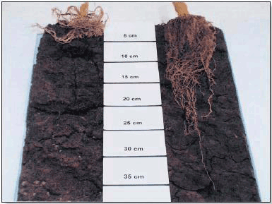 Monitoring Soil Compaction During Fall Tillage